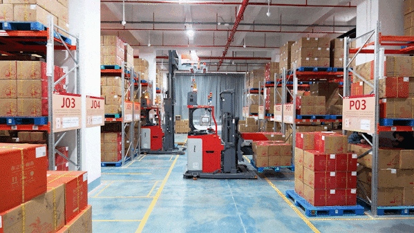 Zowell Forklift